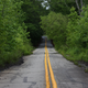 Notice the vegetation creeping into the road due to lack of use.